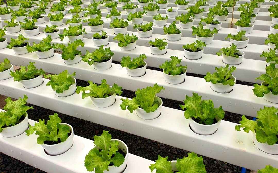 Agriculture